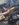 699D4BCB-E790-4C31-B2F9-FAFADDA26C94.jpeg