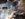 1887B876-3772-433D-B423-9517C746EF42.jpeg