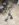 618BAE46-C296-4C37-A0F9-68FF081F17AB.jpeg