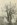 extreme tree pruning crew 1880.jpg