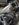 531BA874-ADF2-4957-B5B0-A68378F8919D.jpeg