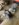 6DA82ABD-EC89-46CC-98D6-78A1693EE8BB.jpeg