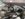 F777CBE3-7B6B-48D2-B816-FD6DA8A44143.jpeg
