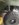A6CD206F-0AB1-4214-8047-1803EA5DFA4E.jpeg
