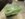 98B69DD0-28EC-4DEA-9027-79EA6100847F.jpeg