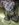 6D1AD4B1-6C4D-4951-8F29-3BC6341EEBC0.jpeg