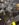 back of engine.jpg