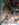 received_168890921125098.jpeg