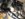 A99DCDEB-8D8C-4926-B4C9-8487E05A2B41.jpeg