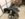 82A12C24-AECA-4020-8C6D-87F78F4F22DD.jpeg
