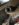 7CA45875-90E1-456E-8B1C-E434A2C8E249.jpeg