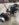 0AE33ED4-BB67-41B7-9E66-0FE01C96C0B1.jpeg