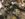 AADE35B0-876D-4FFD-BB3F-695D6894FBC0.jpeg