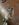 1E07425E-A6EE-4B87-BF09-CBB2DE70EED7.jpeg