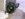 82AD79E9-B41C-42B2-9E95-ACABDEDB6895.jpeg