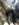 472E6015-46D9-4090-BC2A-064B4395EFE7.jpeg