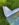 IMG_0279.jpeg