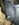 89A342AF-DCAF-443D-AC84-AEA19083391A.jpeg