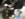 4A3D2ABC-3796-4E43-8B99-B7E4C52C66C8.jpeg