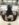 D56C5523-FD20-4A1B-91A2-FF92EE5CA2AB.jpeg