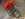 B7A10F00-778B-45E3-B2B2-C2AB64E1F5BD.jpeg