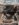B23632E2-C092-4345-85AE-C272674B1799.jpeg