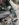 8B1BB230-F10C-4632-ACC7-EEE4D4FE9B46.jpeg