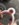 CB341BB8-EEF9-4BDC-9BF2-8C1E9E1F7D68.jpeg
