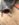 D1EB8E9B-77AE-47A5-82D1-125C8644F394.jpeg