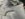 3D8D4FCF-908B-4996-BE1A-E73D82506733.jpeg