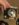 850C2FBF-9C36-4473-B54B-450466A92D6F.jpeg
