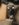 6663DAEF-D545-4C57-92F6-47FE947C89D6.jpeg
