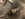 3CBA3508-89FD-4536-98C3-61FD1B07D925.jpeg