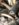 33400688-E61E-4CD4-BBCD-B3527587FB52.jpeg