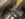 EE3275DE-38B9-4220-9A09-7BC510BBF0D8.jpeg
