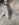 IMG_2562.jpeg