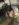 D2A1AB57-EB85-4FC1-8C9F-235967DF1005.jpeg