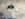 6444F973-DC0D-4446-A1FA-6D8488401498.jpeg