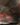A21B8D52-B5FB-4748-8A73-C84E93A76088.jpeg