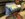 F50612C2-132B-47C3-959D-0FACF7EFA903.jpeg
