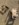 2BAD1223-9029-47D7-87C1-48C762C3957B.jpeg
