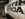 356C2BA7-F6D0-4EE7-BE78-6861C43472F4.jpeg