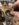 E4ED235B-FE8C-430B-BB23-7F020D4FF9C4.jpeg