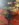 F3F4CA3B-0025-4D3E-A7DF-296BDA81D8E9.jpeg