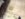 799AD4AE-9A20-4169-81CF-877683B4209A.jpeg