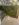 2662B0E2-A6EE-46DA-8CF9-CFB9536EA764.jpeg
