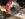 6E36C321-46F5-42C4-A495-16B235ED188D.jpeg