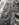 A7A41CAF-CF9C-44C1-A0DB-CA5A548D555E.jpeg