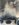 6141441C-0DEF-4E74-9AFE-ADACA883C796.jpeg