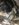 6605E598-C8A1-4FF1-9356-F8661B0EC2C3.jpeg